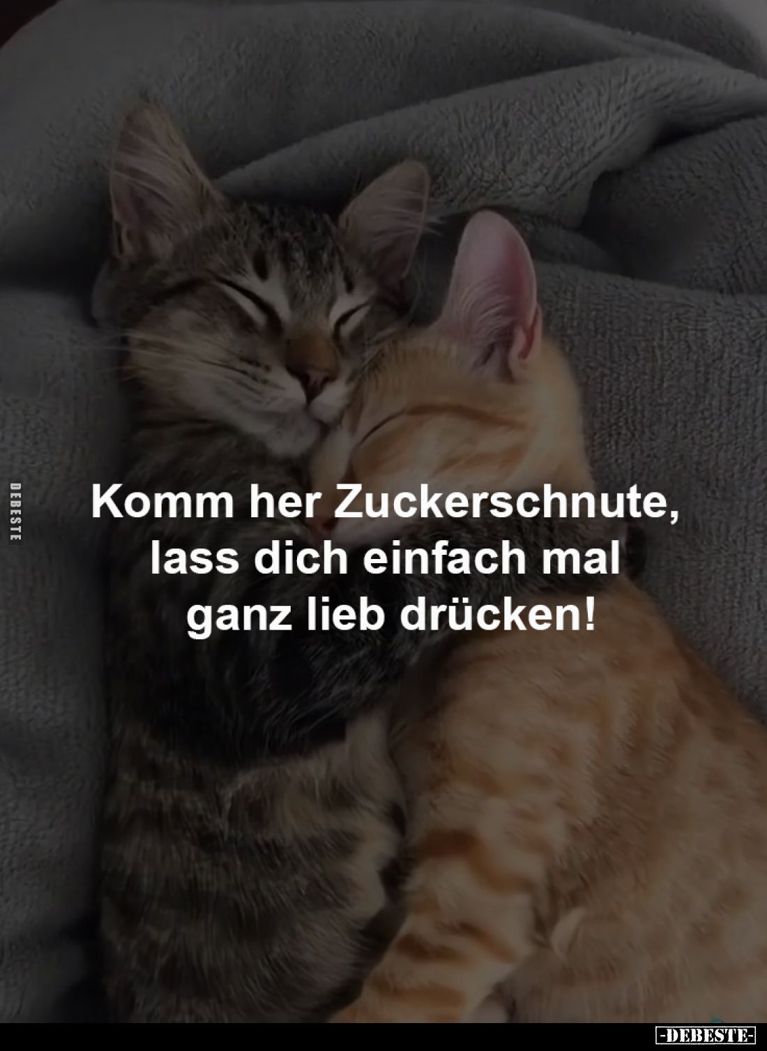 Komm her Zuckerschnute,
lass dich einfach mal
ganz lieb drücken!