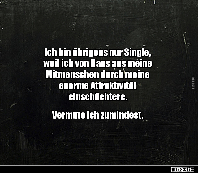 Ich bin übrigens nur Single, weil ich von Haus aus meine.. - Lustige Bilder | DEBESTE.de