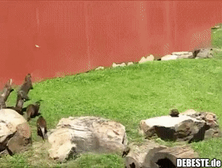 Wann wirds endlich wieder Sommer....?