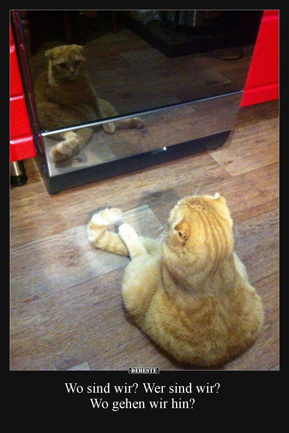 Wo sind wir? Wer sind wir? Wo gehen wir hin?