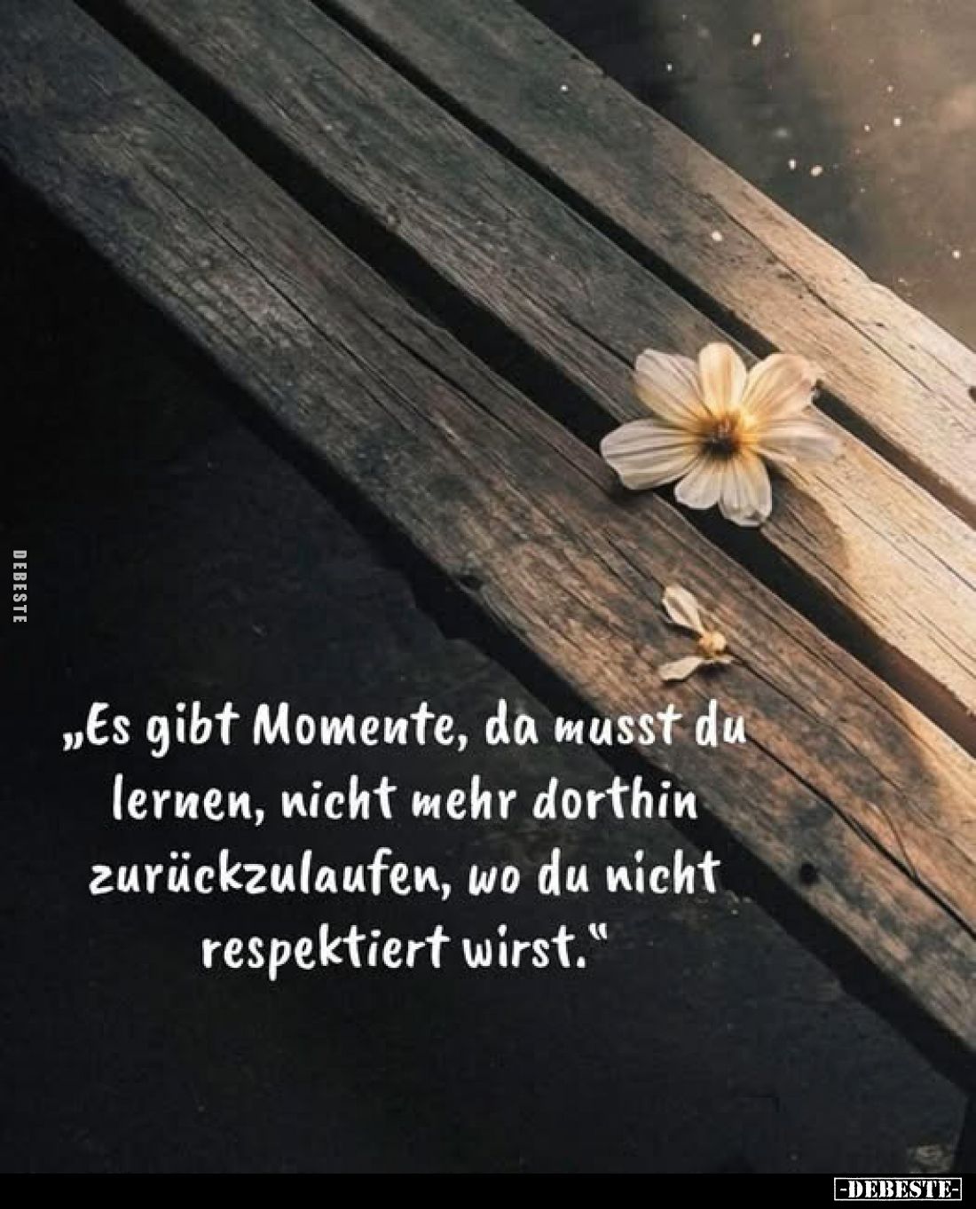 „Es gibt Momente, da musst du lernen, nicht mehr dorthin zurückzulaufen, wo du nicht respektiert wirst."