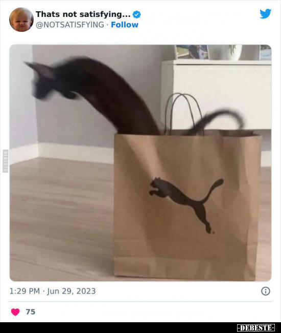  - Lustige Bilder | DEBESTE.de