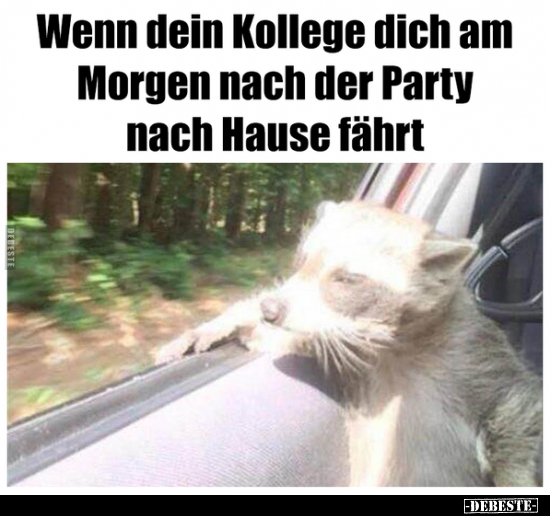 Wenn dein Kollege dich am Morgen nach der Party nach Hause.. - Lustige Bilder | DEBESTE.de