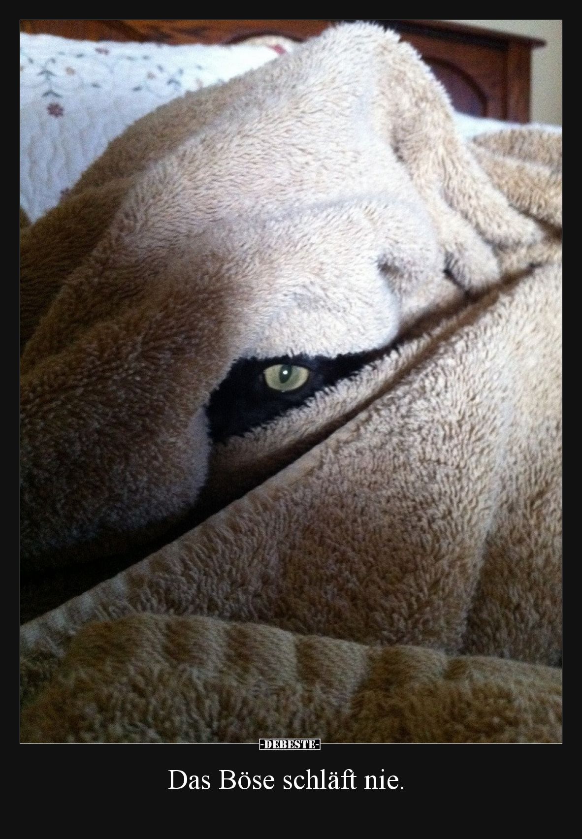Das Böse schläft nie.