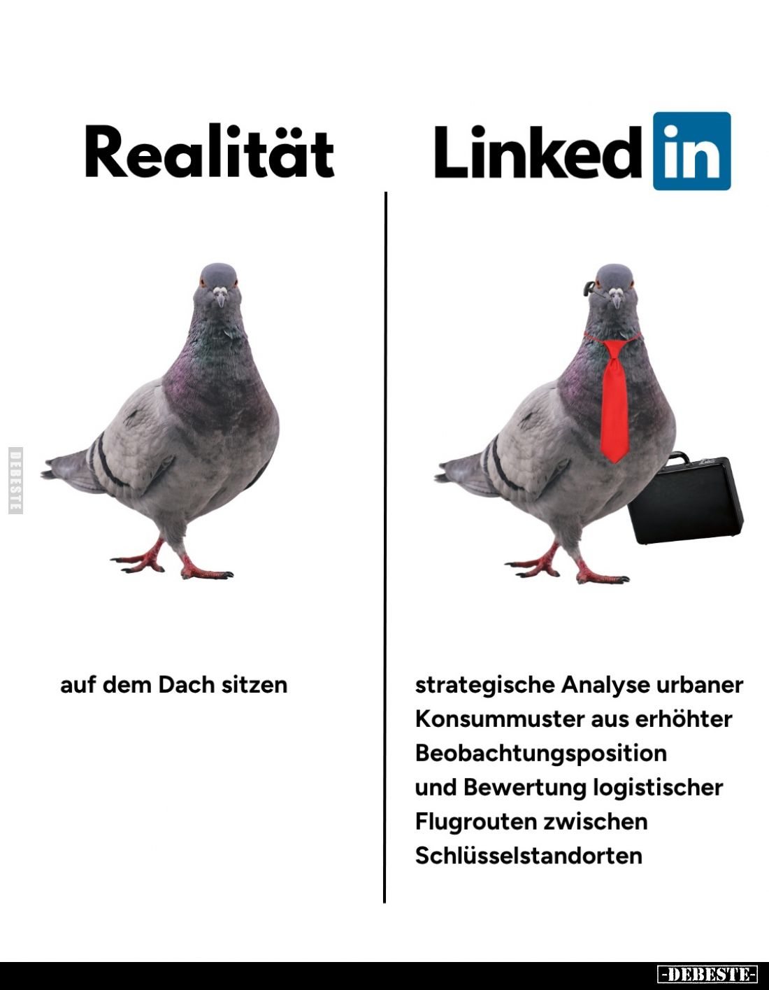 Realität: auf dem Dach sitzen.... - Lustige Bilder | DEBESTE.de