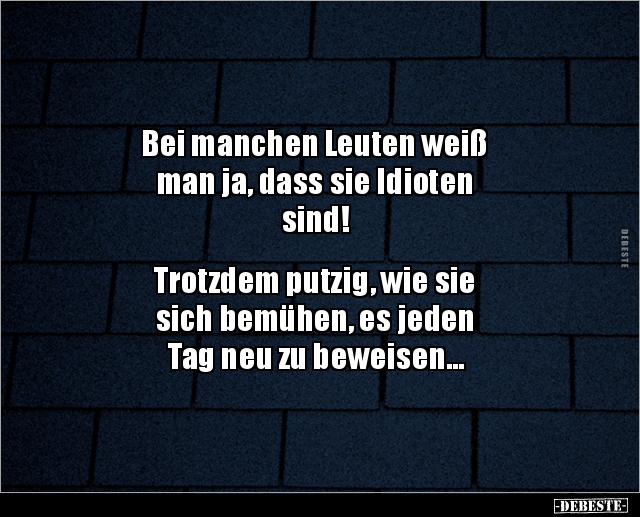 Bei manchen Leuten weiß man ja, dass sie Idioten.. - Lustige Bilder | DEBESTE.de