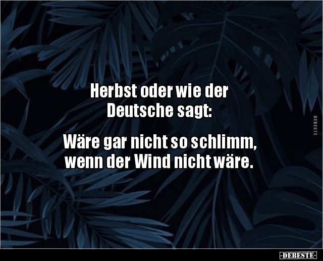 Herbst oder wie der Deutsche sagt: Wäre gar nicht.. - Lustige Bilder | DEBESTE.de