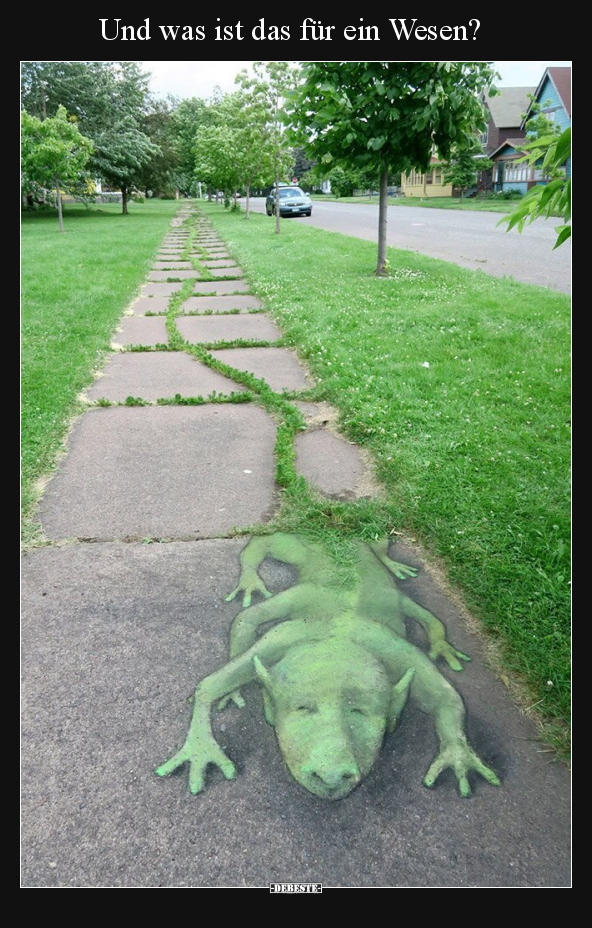 Und was ist das für ein Wesen?