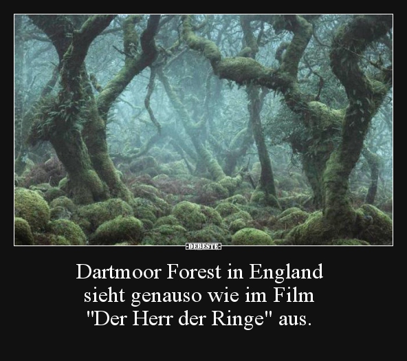 Dartmoor Forest in England sieht genauso wie im Film.. - Lustige Bilder | DEBESTE.de