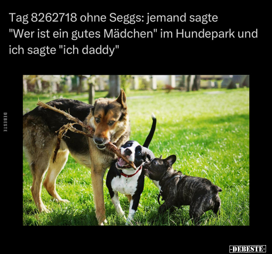 Tag 8262718 ohne Seggs.. - Lustige Bilder | DEBESTE.de