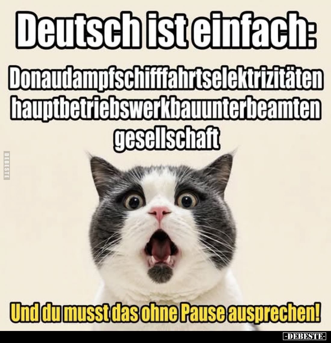 Deutsch ist einfach:
Donaudampfschifffahrtselektrizitätenhauptbetriebswerkbauunterbeamten-gesellschaft
Und du musst das ohn...