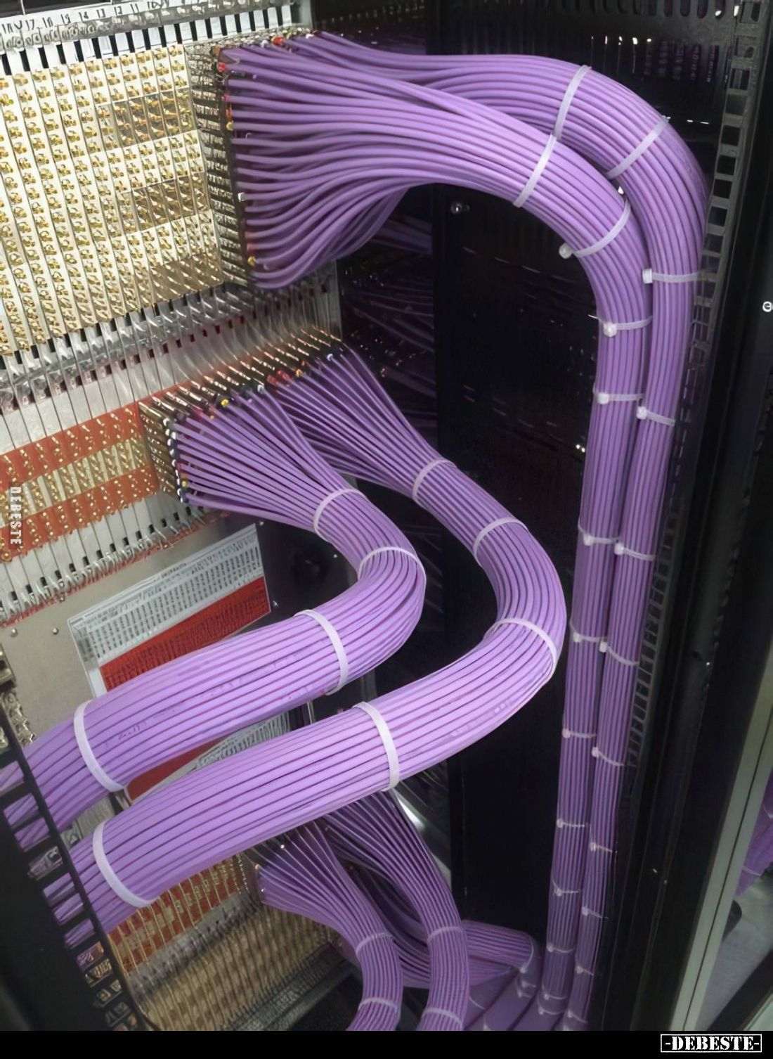  - Lustige Bilder | DEBESTE.de