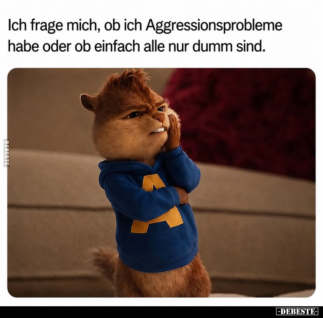 Ich frage mich, ob ich Aggressionsprobleme habe oder ob einfach alle nur dumm sind.