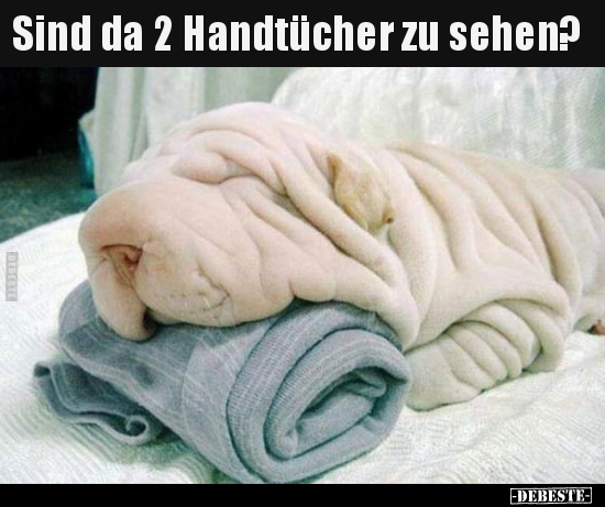 Sind da 2 Handtücher zu sehen?.. - Lustige Bilder | DEBESTE.de