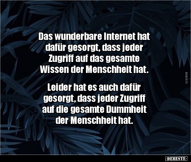 Das wunderbare Internet hat dafür gesorgt, dass jeder.. - Lustige Bilder | DEBESTE.de