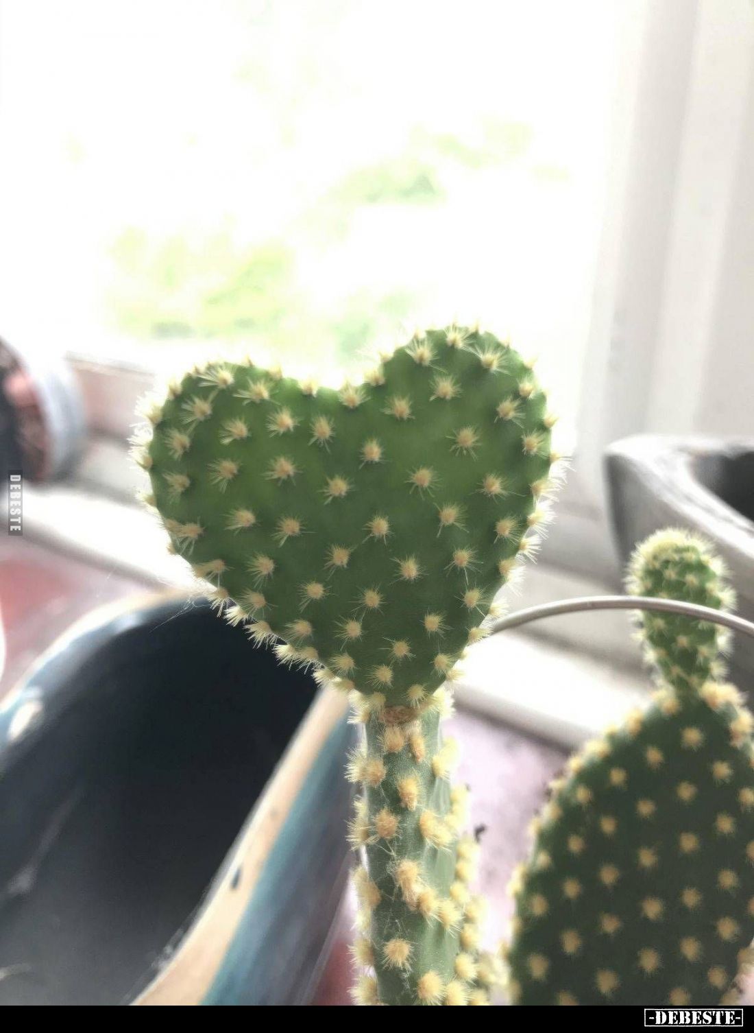  - Lustige Bilder | DEBESTE.de