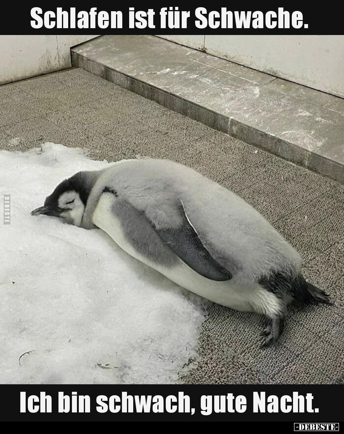 Schlafen ist für Schwache. 
Ich bin schwach, gute Nacht.