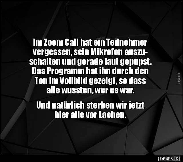 Im Zoom Call hat ein Teilnehmer vergessen, sein Mikrofon.. - Lustige Bilder | DEBESTE.de