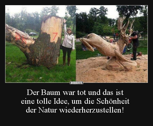 Der Baum war tot und das ist eine tolle Idee.. - Lustige Bilder | DEBESTE.de