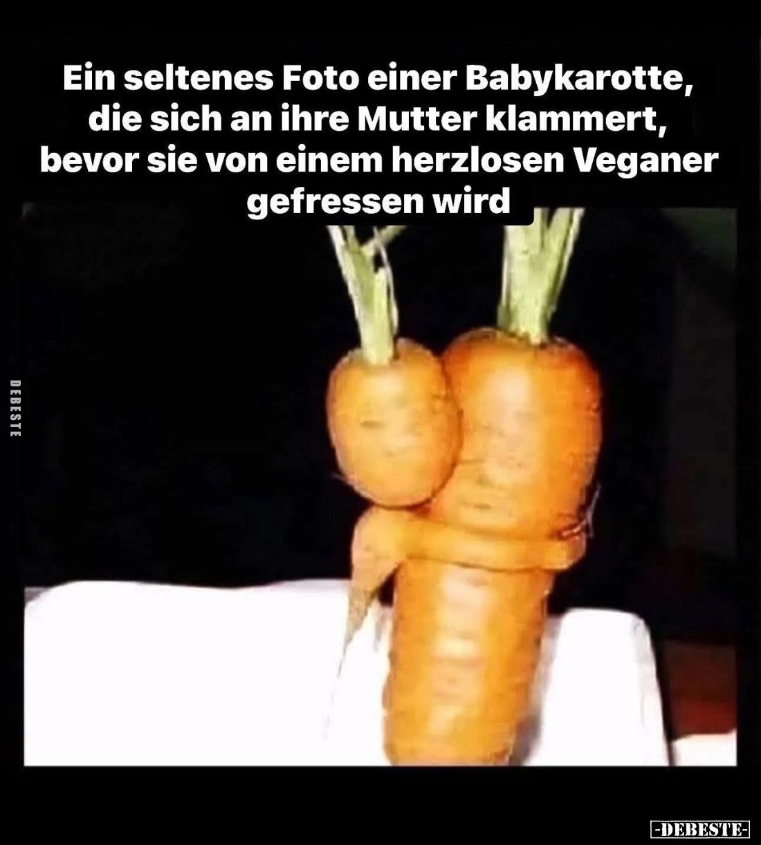 Ein seltenes Foto einer Babykarotte, die sich an ihre Mutter klammert, bevor sie von einem herzlosen Veganer gefressen wird.