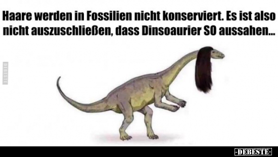 Haare werden in Fossilien nicht konserviert.. - Lustige Bilder | DEBESTE.de