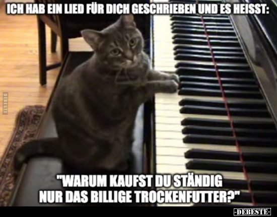 Ich hab ein Lied für dich geschrieben und es.. - Lustige Bilder | DEBESTE.de