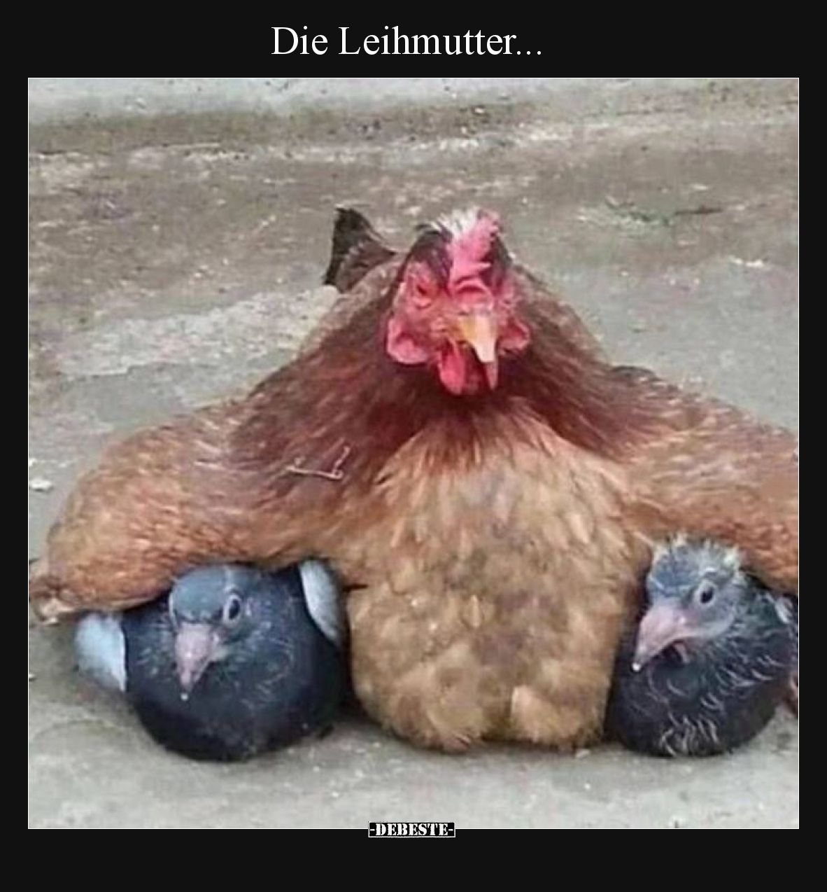Die Leihmutter