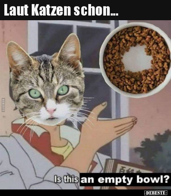 Laut Katzen schon...