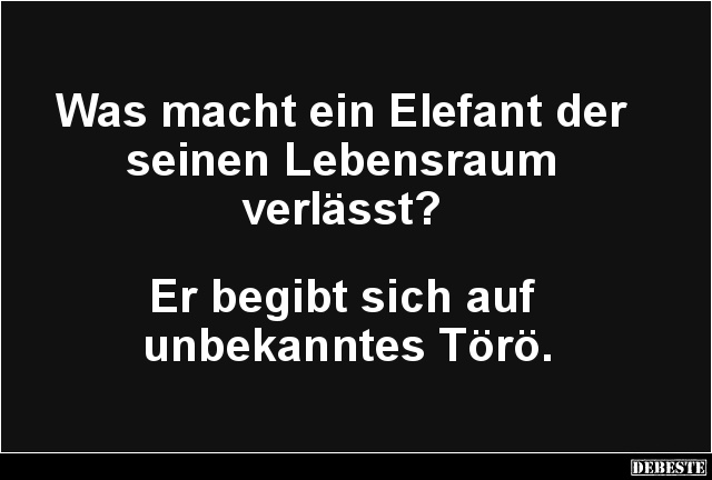 Was macht ein Elefant der seinen Lebensraum verlässt? - Lustige Bilder | DEBESTE.de