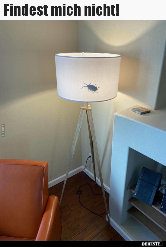 Findest mich nicht!..