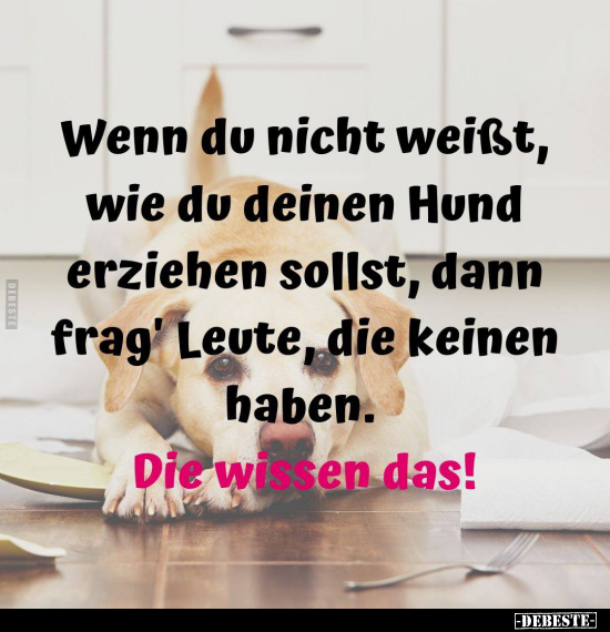 Wenn Du nicht weisst, wie Du Deinen Hund erziehen sollst.. - Lustige Bilder | DEBESTE.de