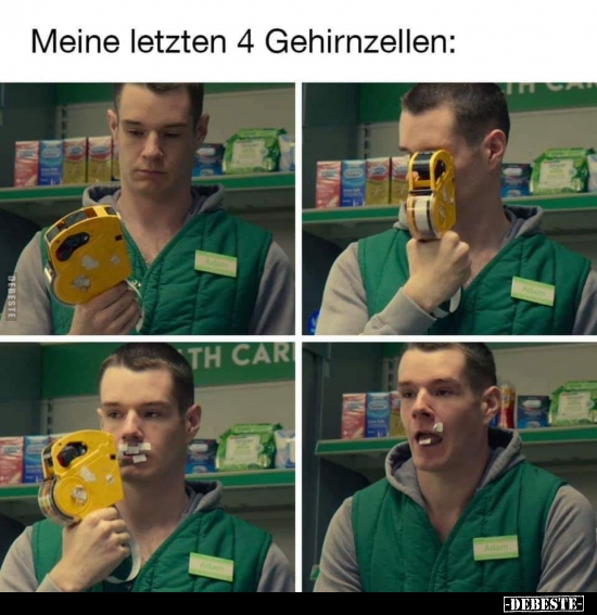 Meine letzten 4 Gehirnzellen: