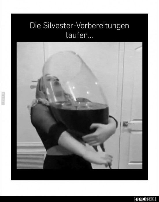 Die Silvester-Vorbereitungen laufen... - Lustige Bilder | DEBESTE.de