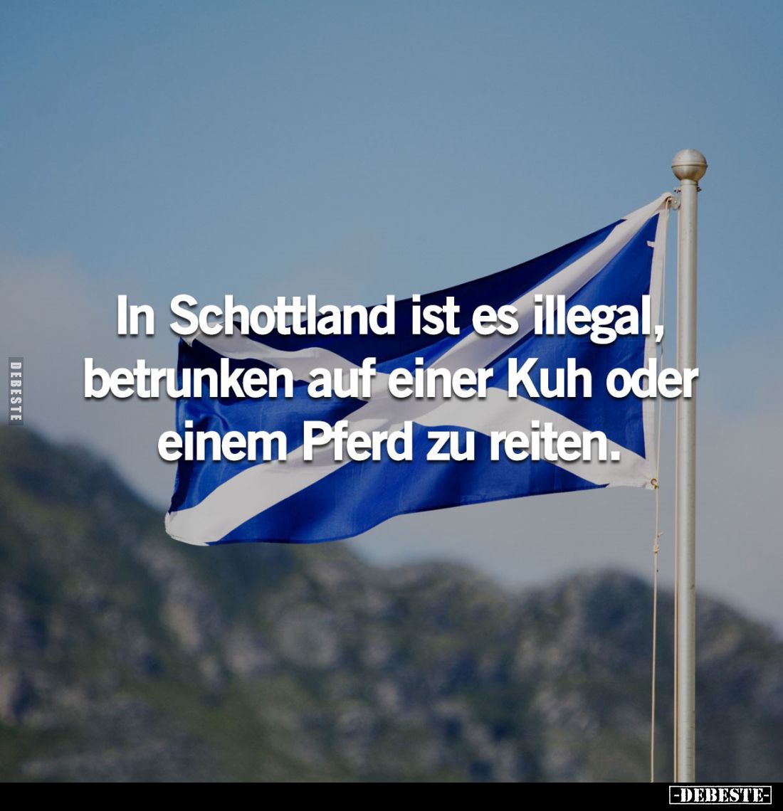 In Schottland ist es illegal, betrunken auf einer Kuh oder einem Pferd zu reiten.