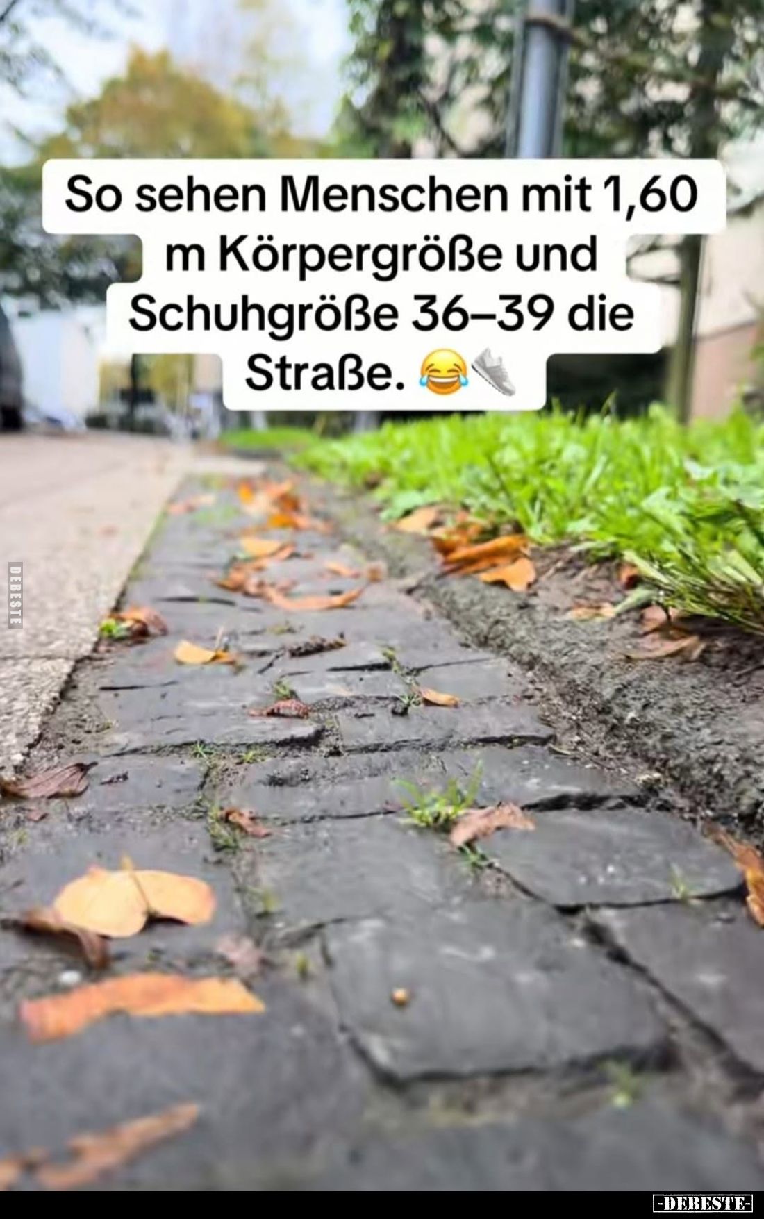 So sehen Menschen mit 1,60 m Körpergröße und Schuhgröße 36–39 die Straße.