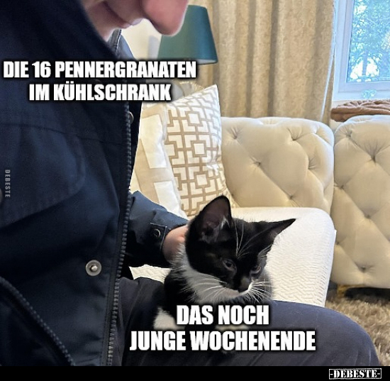 Kühlschrank, Junge, Wochenende