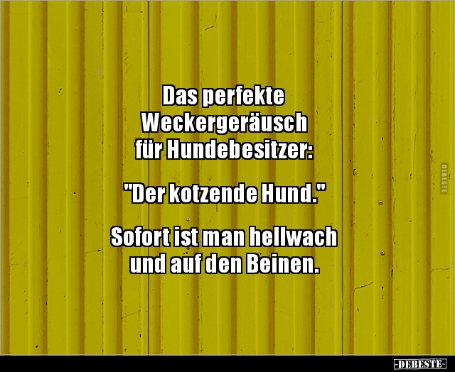 Das perfekte Weckergeräusch für Hundebesitzer.. - Lustige Bilder | DEBESTE.de