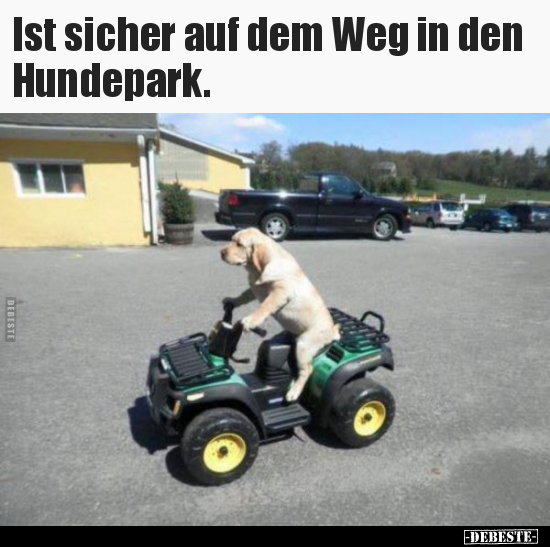 Ist sicher auf dem Weg in den Hundepark... - Lustige Bilder | DEBESTE.de