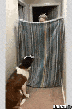  - Lustige Bilder | DEBESTE.de