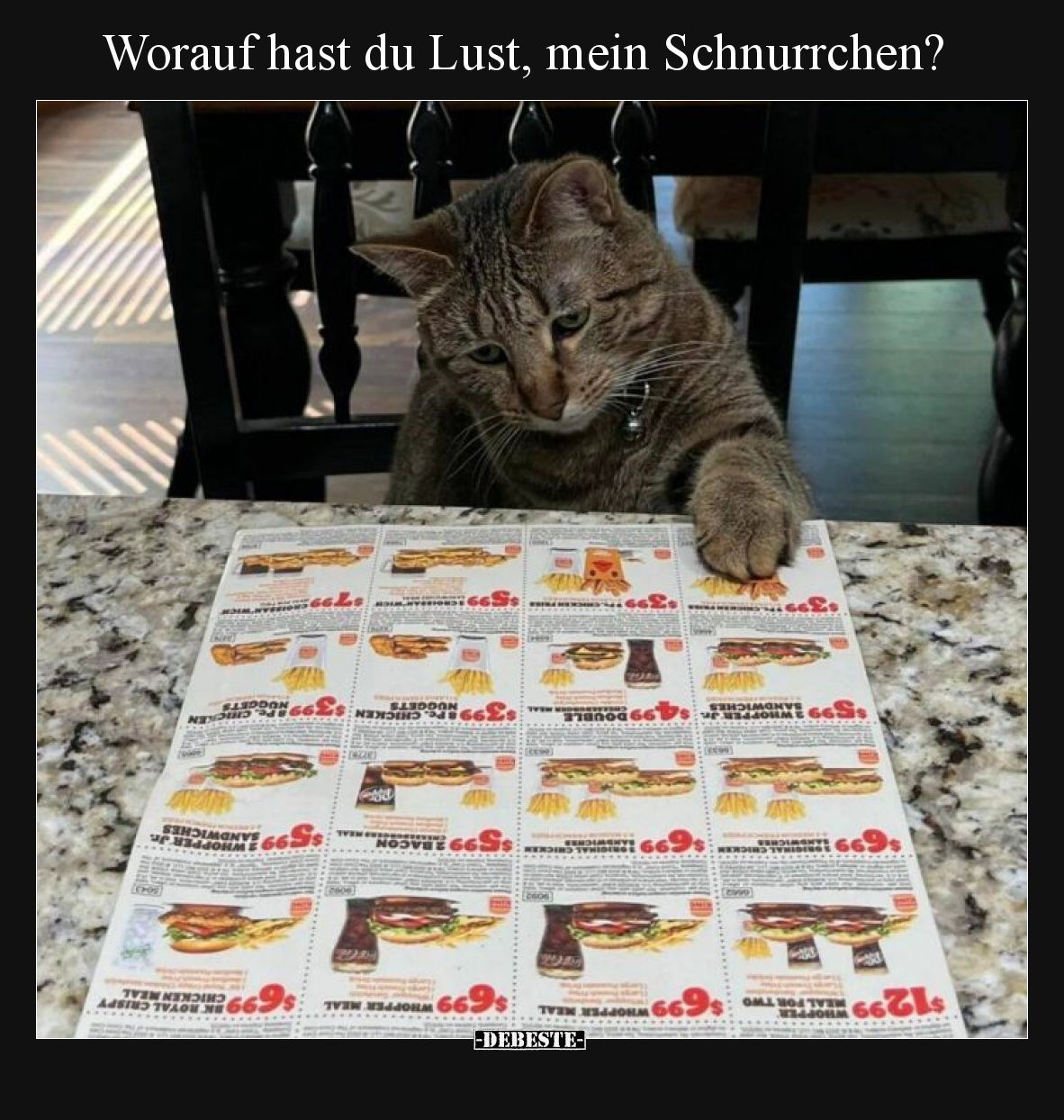 Worauf hast du Lust, mein Schnurrchen?