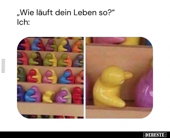 Lustige Bilder zum Thema: Läuft, Leben