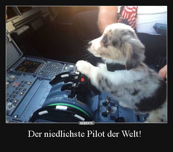 Der niedlichste Pilot der Welt!.. - Lustige Bilder | DEBESTE.de