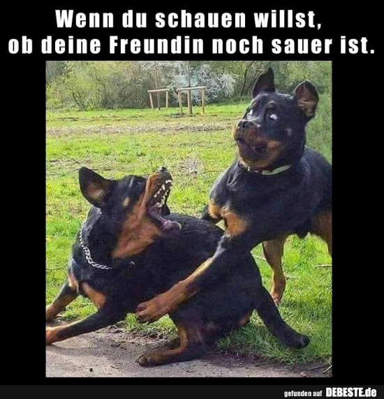 Wenn du schauen willst, ob deine Freundin noch sauer ist..