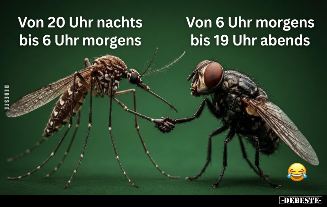 Von 20 Uhr nachts bis 6 Uhr morgens.
Von 6 Uhr morgens bis 19 Uhr abends.