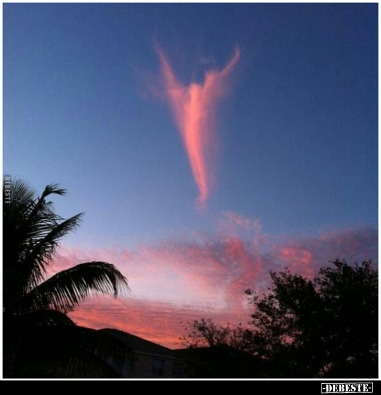  - Lustige Bilder | DEBESTE.de