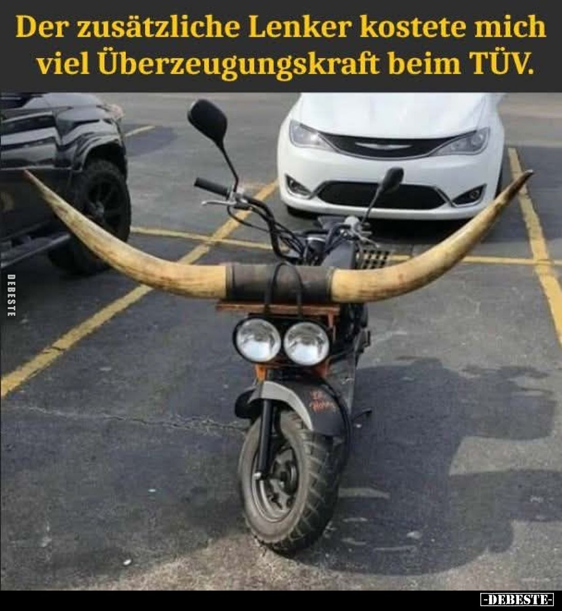 Der zusätzliche Lenker kostete... - Lustige Bilder | DEBESTE.de