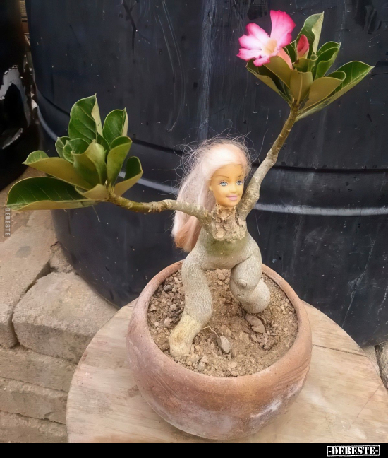  - Lustige Bilder | DEBESTE.de