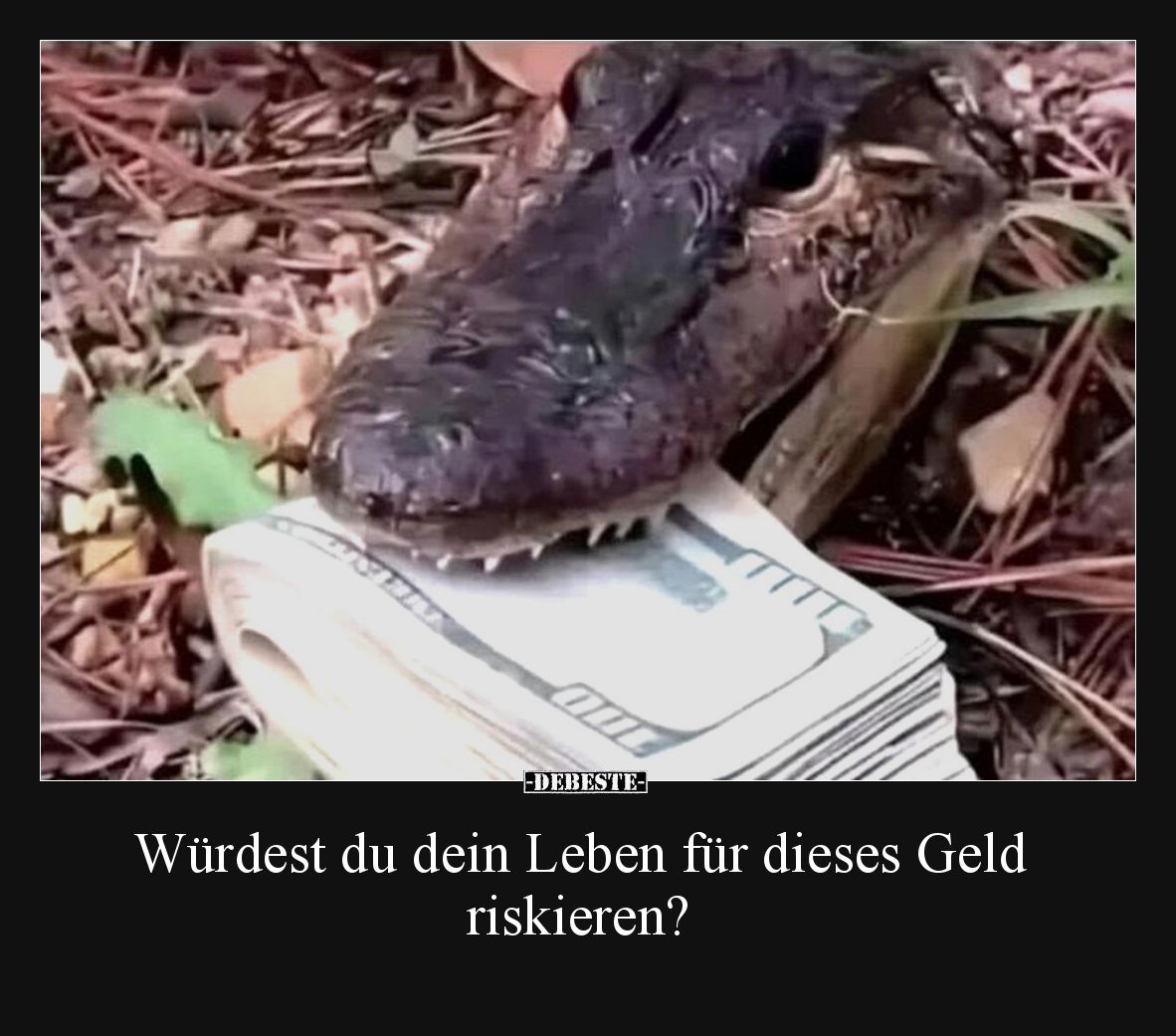 Würdest du dein Leben für dieses Geld riskieren?.. - Lustige Bilder | DEBESTE.de