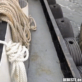  - Lustige Bilder | DEBESTE.de