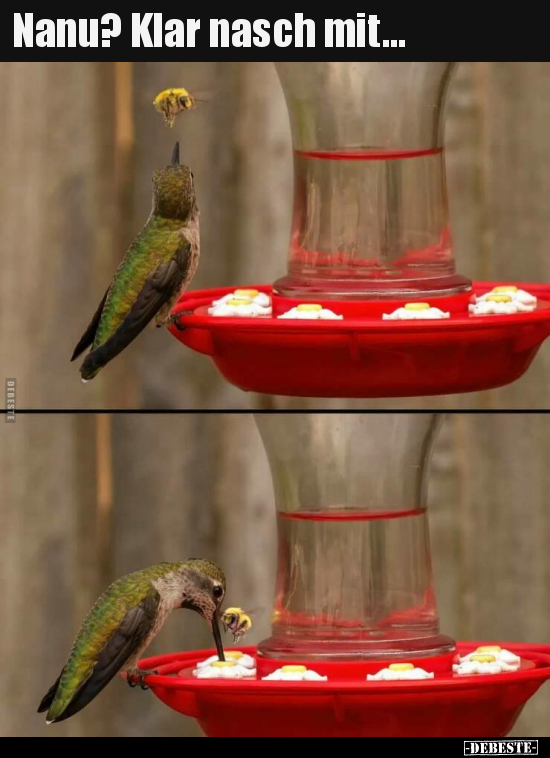 Nanu? Klar nasch mit...